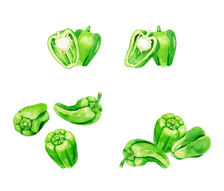 istock Set of green bell pepper. Collection of hand-drawn watercolor illustrations of summer vegetables. 1819663418