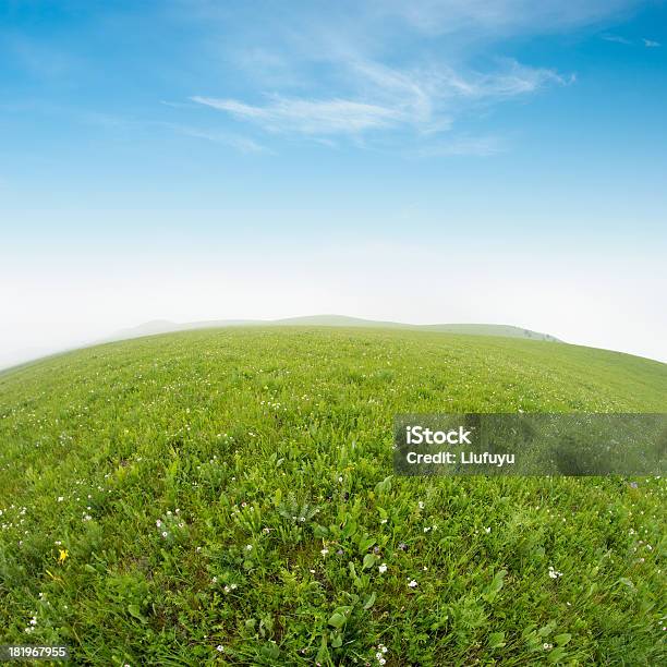 Foto de Verão Campo De Grama e mais fotos de stock de Azul - Azul, Beleza, Brilhante - Luminosidade