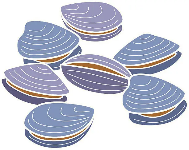 Vector illustration of clams