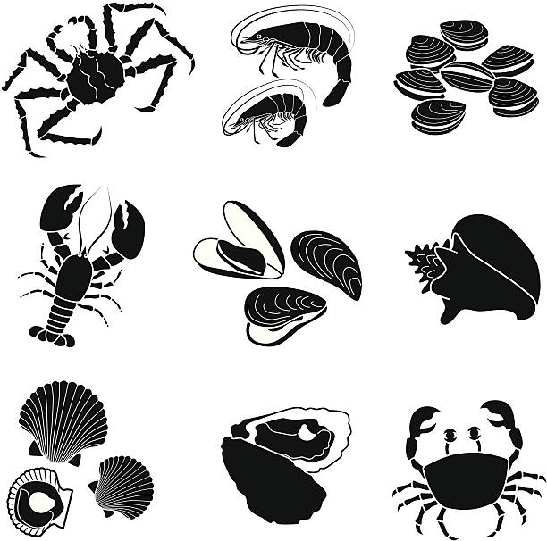 illustrations, cliparts, dessins animés et icônes de de fruits de mer et crustacés mollusks - crustacé