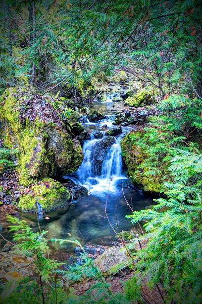 istock Pulaski Tunnel Trail waterfall 1819703510
