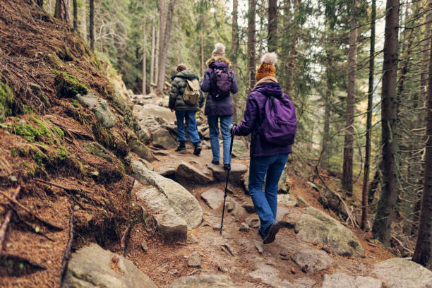 Family hiking in a forest in High Tatra Mountains, Slovakia on an autumn day Family is hiking in the High Tatra Mountains, Slovakia. They are walking on a rough and difficult natural trail path full of large rocks. The path is leading between spruce and larch trees and higher into the mountains. Cold and overcast autumn day.
Shot with Canon R5 high tatras stock pictures, royalty-free photos & images