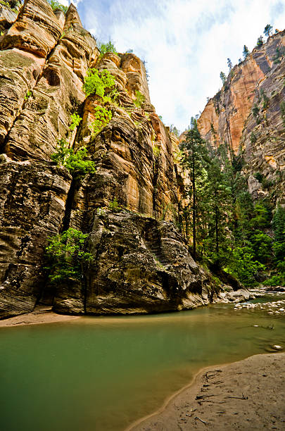istock Scenery from The Narrows hike at Zion National Park. 181971010