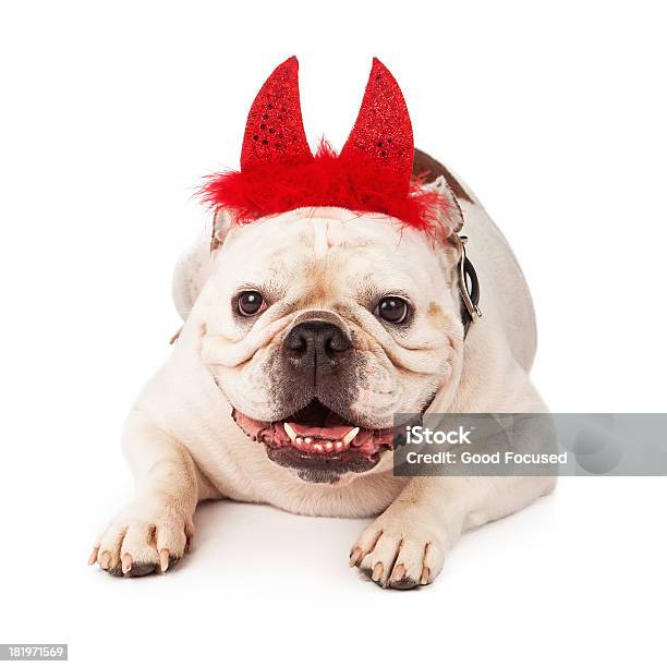Bulldog Con Diavolo Horns - Fotografie stock e altre immagini di Allegro - Allegro, Amicizia, Animale