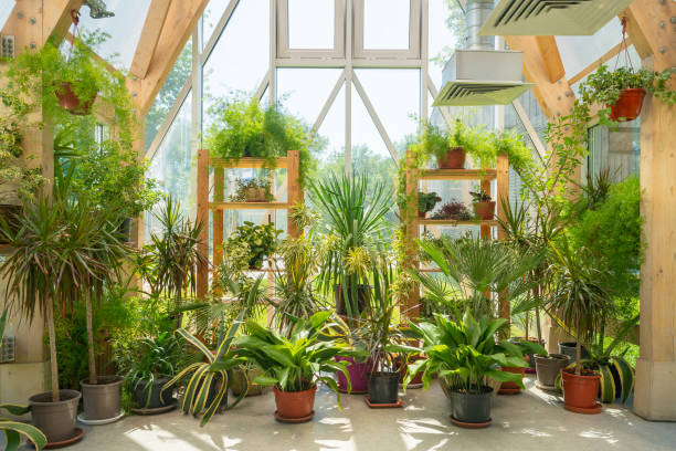 Green plants in a pavilion with a glass roof.