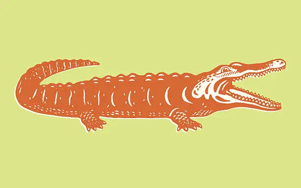Vector illustration of A cartoon image of an orange alligator on green background