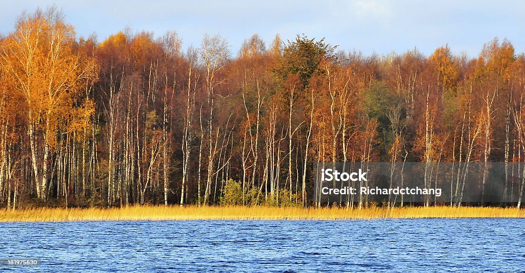 Belle automne sur la Russie waterway - Photo de Automne libre de droits