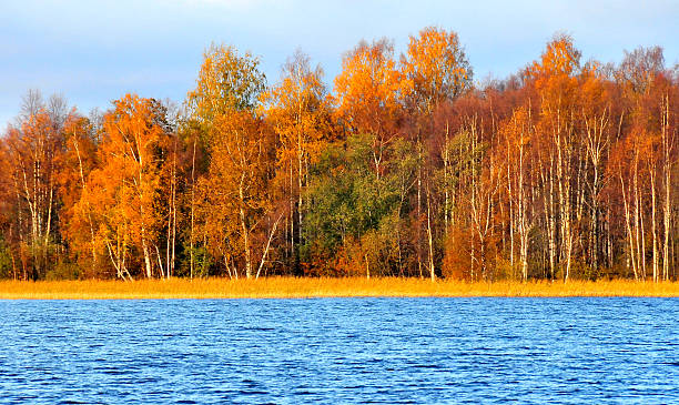 istock Beautiful fall season along Russia waterway 181975643