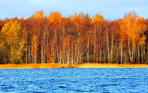 istock Beautiful fall season along Russia waterway 181975646