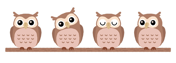 A collection of cute owl poses