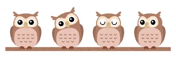 Vector illustration of Cute owl vector illustration collection