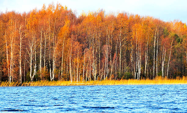 istock Beautiful fall season along Russia waterway 181978473
