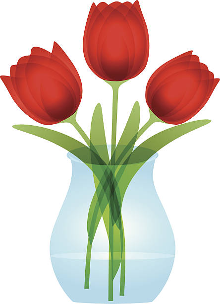 illustrazioni stock, clip art, cartoni animati e icone di tendenza di rosso tulipani in vaso di vetro, illustrazione vettoriale - single flower flower mothers day easter