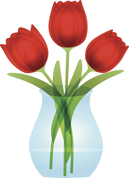 ilustrações, clipart, desenhos animados e ícones de red tulipas em vaso de vidro ilustração vetorial - single flower flower mothers day easter