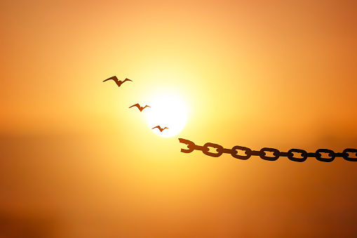 chains breaking and free birds that flies away at sunset background.