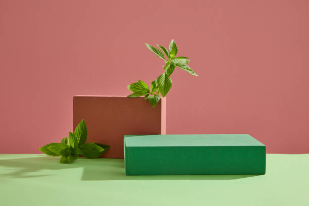 MINT LEAVES CONCEPT Blank minimalist empty showcase template. Red and green rectangular podiums decorated with spearmint leaves on pink and green background. Space to place your product. Front view mentha pulegium stock pictures, royalty-free photos & images