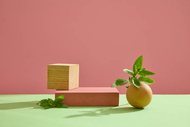 MINT LEAVES CONCEPT Background for the presentation of cosmetic products with minimal concept. Empty podiums with spearmint leaves and wooden ball decorated on pink background. Space for design mentha pulegium stock pictures, royalty-free photos & images
