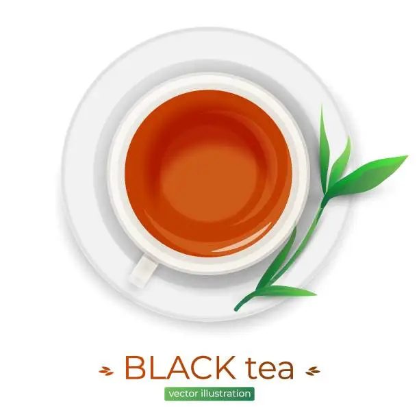 Vector illustration of Glass cup and plate, dish with  black, red tea and green leaf isolated on white background. Vector illustration for postcard greeting card, banner, advertising, menu, articles