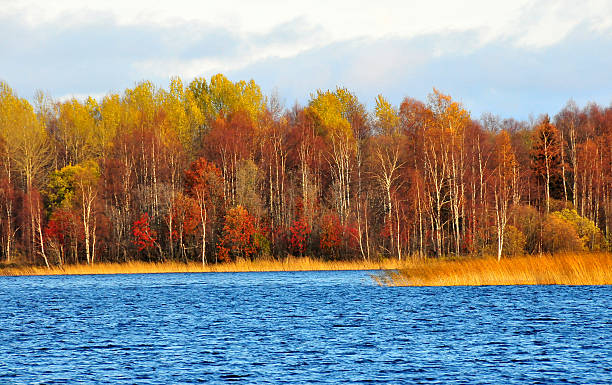 istock Beautiful fall season along Russia waterway 181982770