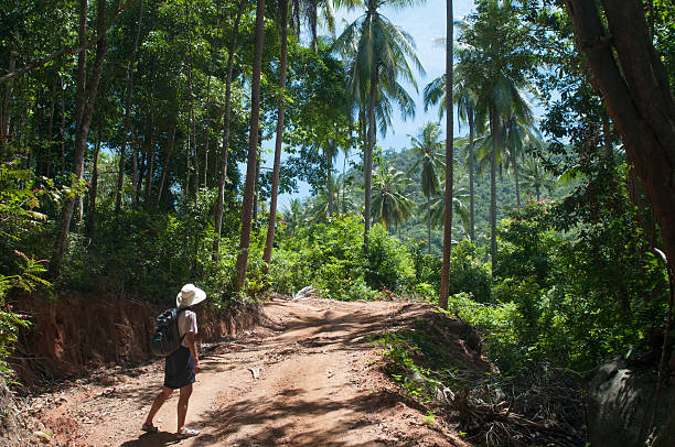 istock Hiking through tropical forest in Thailand 181982804
