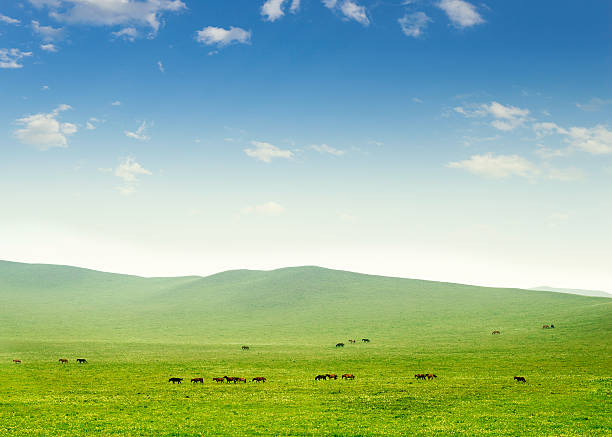 istock Horse on the grassland 181983066