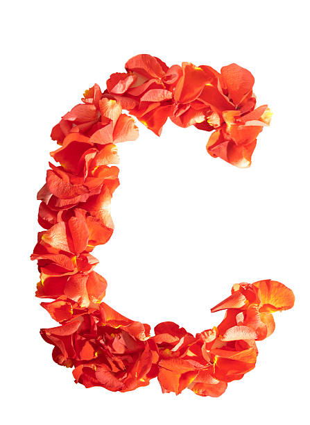 istock letter C of rose petals 181983547