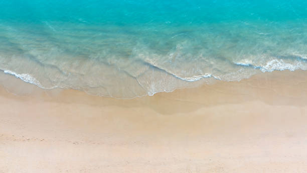 istock Beach Wave water in the Tropical summer beach with  sandy beach background 1819870145