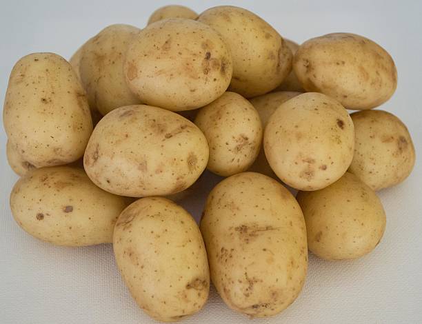 istock Home grown new potatoes 181987743