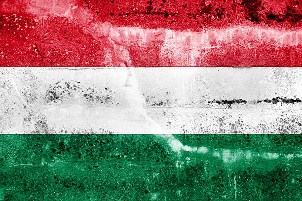 istock Hungary Flag painted on grunge wall 181991962