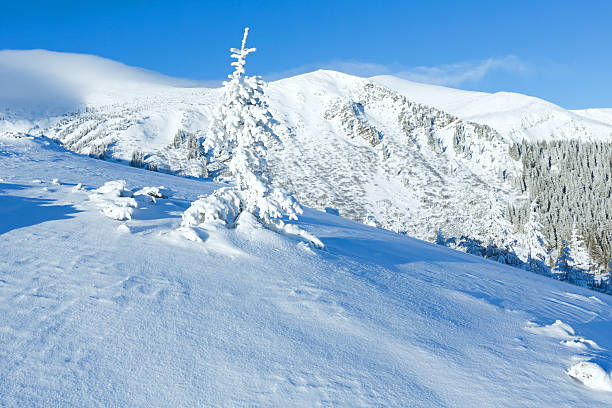istock Morning winter mountain landscape 181992298