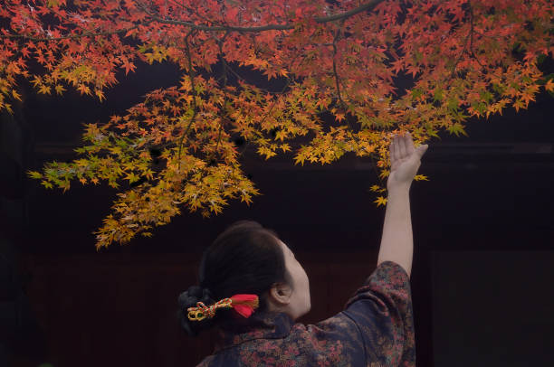 Woman Watching Autumn Colored Maple Leaves