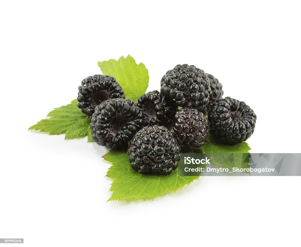 blackberry - 로열티 프리 0명 스톡 사진