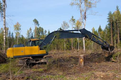 A heavy excavator works in the forest. Outstretched boom excavator. Works on drainage of the forest area. Photo of a real workflow.