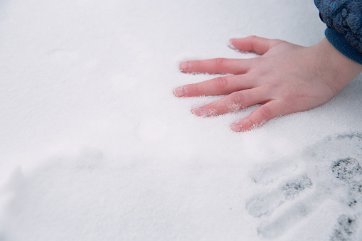 Children's palm on white snow. Handprint in the snow.