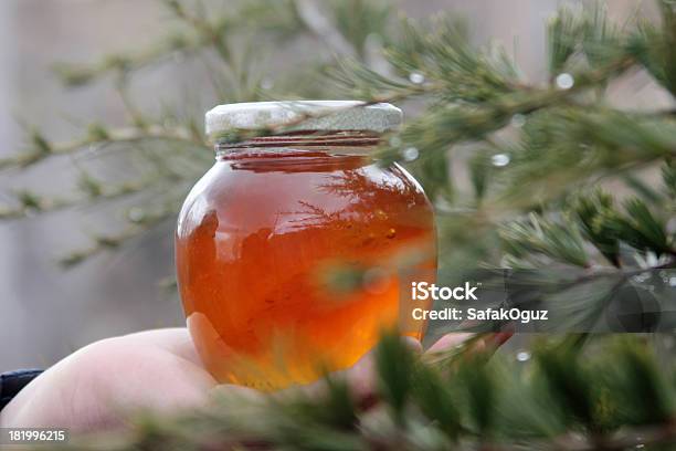 Miele - Fotografie stock e altre immagini di Albero - Albero, Alimentazione sana, Ambientazione esterna