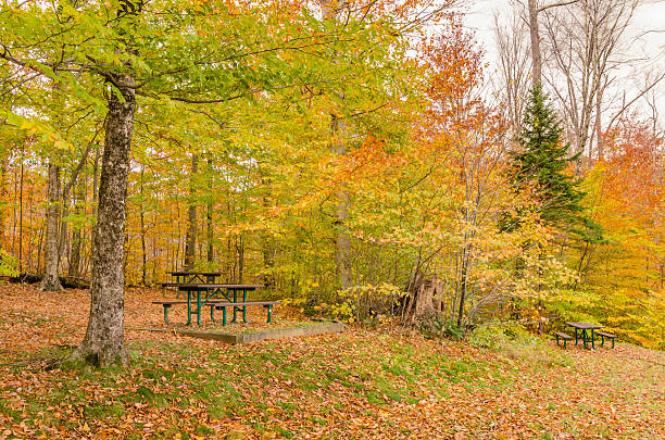 istock Picnic Area in Autumn 181996336