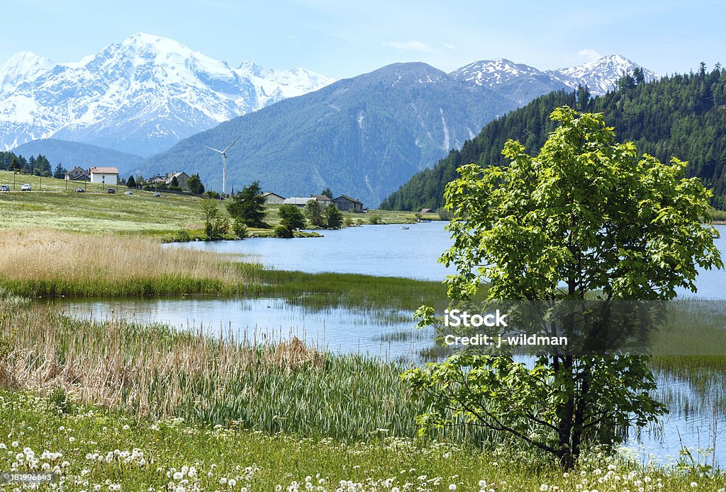 Paisagem com lago de montanha no verão (Itália) - Foto de stock de Alpes europeus royalty-free