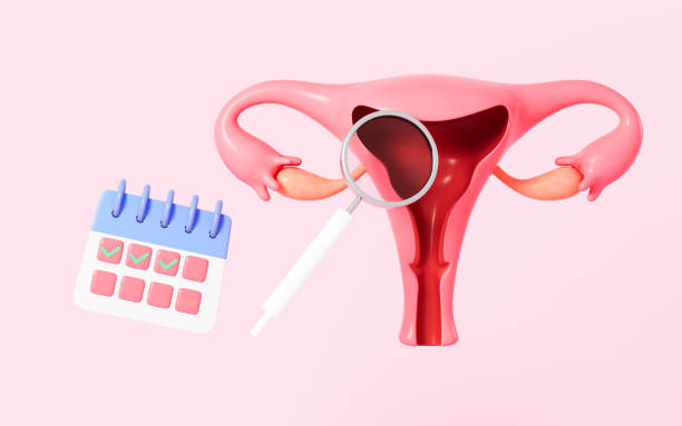 istock Cartoon uterus and calendar, menstrual cycle concept, 3d rendering. 1819988430