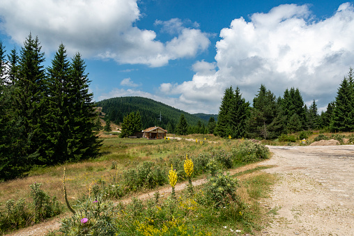 Country road in Rhodope mountains. Bulgaria, Europe.
