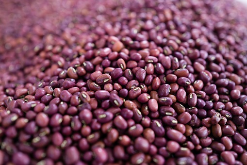 Close up of a red azuki beans