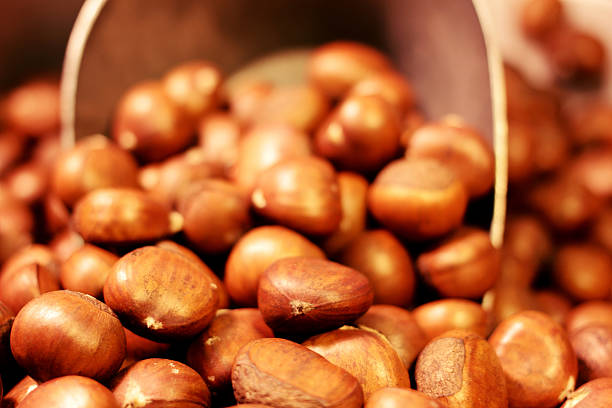 istock Chinese Chestnut ready for sale 182004292