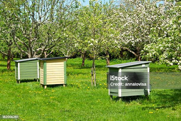Beehives - Fotografie stock e altre immagini di Albero da frutto - Albero da frutto, Arnia, Agricoltura