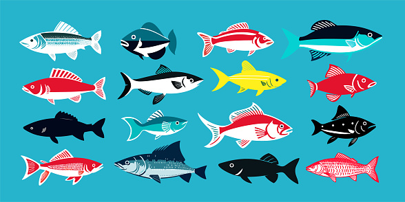 Different fishes set. Seafood. Flat style cartoon fish collection. Vector set for package, label, menu. Vector illustration.