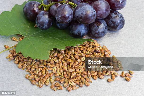 Garpe Seed Stock Photo - Download Image Now - Grape, Seed, Herbal Medicine