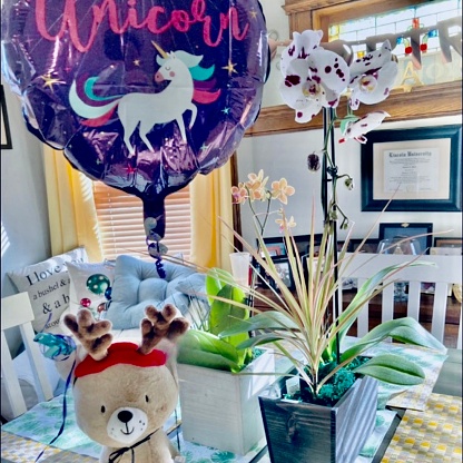 A Get Well Soon tablescape with plants, a balloon, and a teddy bear.