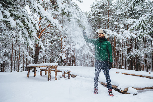 Man in green jacket shaking snow off pine tree in winter forest