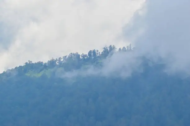 Natural Beauty Of Mountain Peaks With Forest Trees Covered In Mist And Clouds Under The Overcast Sky From Puncak Wanagiri Village, Bali