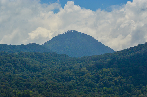 Natural Scenery Of Mist-covered Hills, Forests, And Mountains Under The Cloudy Sky From Puncak Wanagiri Village, Bali