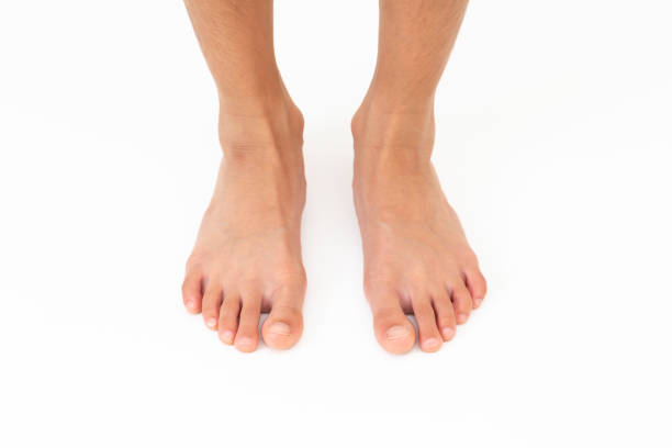 An artistic representation of human footprints composed of small green leaves, symbolizing eco-friendliness and the concept of a green footprint