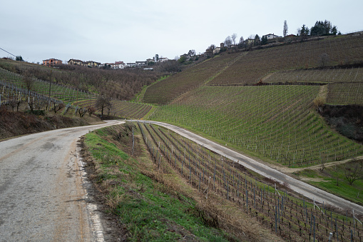 Woman silhouette on langhe Italian Countryside